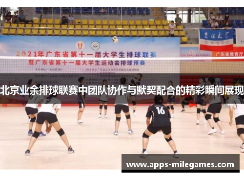 北京业余排球联赛中团队协作与默契配合的精彩瞬间展现