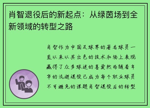 肖智退役后的新起点：从绿茵场到全新领域的转型之路