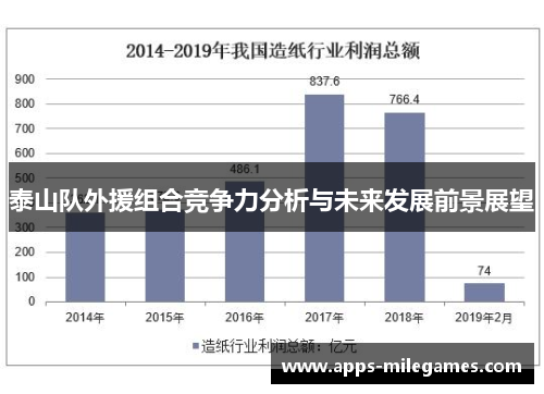 泰山队外援组合竞争力分析与未来发展前景展望