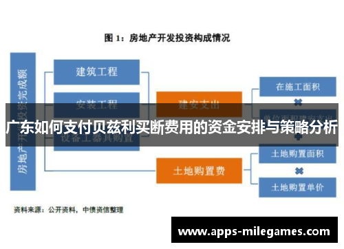 广东如何支付贝兹利买断费用的资金安排与策略分析