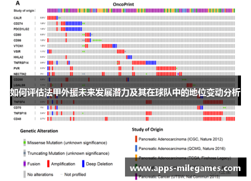 如何评估法甲外援未来发展潜力及其在球队中的地位变动分析